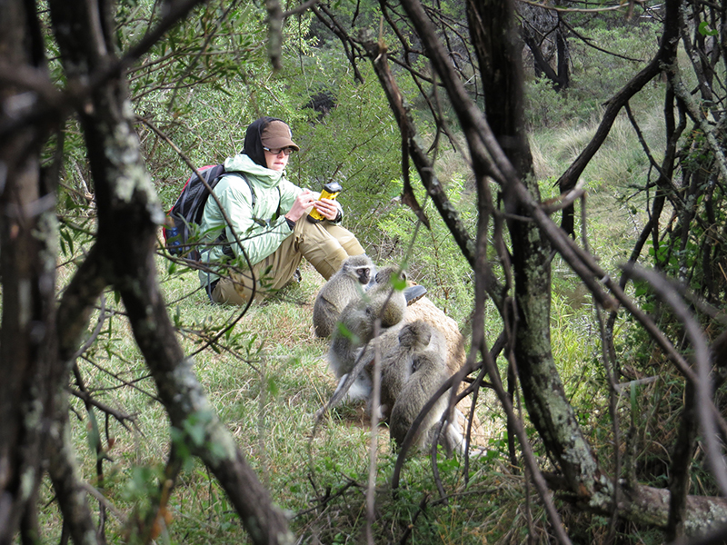 Field work in South Africa studying vervet monkeys
