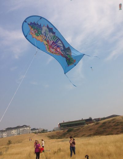 A kite in action